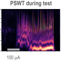 Two panels show the emergence of seizures. Calm, narrow dark blue squiggles representing a tight range of low voltages at various currents explode into vibrant, wide squiggles with warmer colors as current and voltage increases at a broadening range of frequencies.