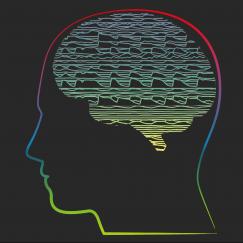 Internal States of the Brain appears to the left of a rainbow outlined head with rainbow brainwaves in the shape of a brain