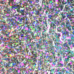 Three panels show a zoomed out chunk of colorfully labeled brain tissue and two magnified insets. One shows that the imaged tissue is 3mm thick. The other shows different brain cells and vasculature distinguished by staining in 12 different colors.