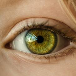 A closeup of a woman's bright green eye