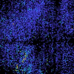 A black background is almost completely overlaid with a sheet of tiny purple dots that are faintly divided horizontally across the cente rof the frame. In the lower left there is a diagonal streak of dots in warmer colors and a few warmer colored dots toward the far right side of the image