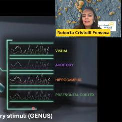 A webinar screenshot depicts a cartoon mouse brain with different regions (audio, visual, prefrontal cortex and hippocampus) in different colors. Next to each are high frequency brain waves. Roberta Fonseca's face is in the upper right corner.