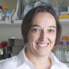 Angelika Amon headshot