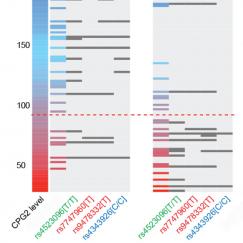 In this data visualization, each horizontal line is a patient. Those with bipolar disorder were more likely to be on the lower end of the CPG2 protein expression scale, and more likely to have gene variants that reduced expression