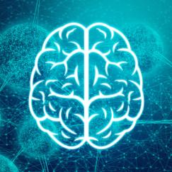 A white line art brain (as viewed from above) is in the foreground. The background is dark blue with lighter blue balls connected by sticks to other balls, representing molecules.. 