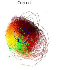 Study reveals a universal pattern of brain wave frequencies