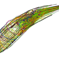 A closeup wireframe diagram of a worm is shown in profile as if wriggling past the viewer. The worm is full of green lines connecting tiny colored balls that represent neurons.