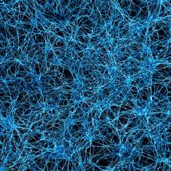A dense tangle of light blue neurons over a black background