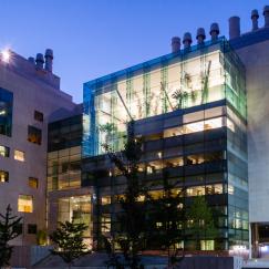 the building at dusk