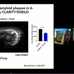 A Zoom screenshot shows Li-Huei Tsai presenting side by side brains showing different amoutns of amyloid plaque