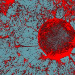 On a gray-blue background there is a circle made of bright-red stained neurons. The neurons radiate out from the circle edge, like solar flares, reaching across the image.