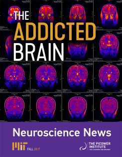 Cover of the fall 2017 newsletter, the addicted brain