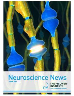 Neuroscience News Spring 2013