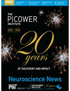 Newsletter cover features a big golden "20 Years" and clusters of colorful neurons on a black background that ressemble fireworks