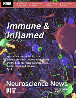 Newsletter cover features a cartoon of green, red and blue cells with little yellow blobs all flaoting around. The main text says "Immune & Inflamed"