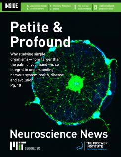 Newsletter cover features a blue-hued jellyfish with many neurons lit up bright green. The main text says "Petite & Profound"