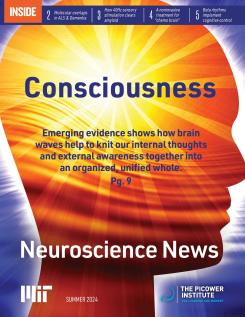 Newsletter cover features the word "Consciousness" over a profile of a head with sunny rays shining out from the center over ocean waves.