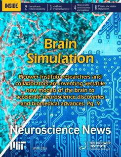 A newsletter cover is divided diagonally by a white line going from the bottom left to the upper right. Theupper left side of the image shows a gray and blue-stained tissue culture. The bottom right side shows a blue-hued printed circuit. The main text says "Brain Stimulation: Picower Institute researchers and collaborators are inventing versatile new models of the brain to accelerate neuroscience discoveries and biomedical advances""