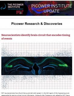 E-newsletter screenshot features a stained hippocampus preparation that looks like a blue and green whale-tail 
