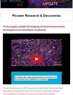 A screenshot of the Picower Institute Update features a still from a video of new 3D brain imaging technology developed by Kwanghun Chung