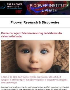 July 2025 enews screenshot features a close up of a baby with cute blue eyes under the headline "Connect or reject: Extensive rewiring builds binocular vision in the brain"