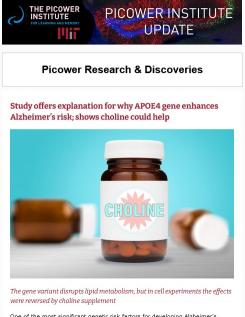 E-newsletter screenshot features a picture of medicine bottles labeled "choline"