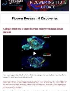 E-news screenshot features an image of brain cross sections with dots of many colors filling in various regions (indicating involvement in memory storage)