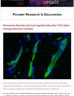 A screenshot of the e-mail newsletter features images of blood vessels stained blue and green over a black background