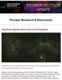 A screenshot of the Picower Institute Update features an image of green-stained brain cells under the headline "Dopamine signals when a fear can be forgotten" 