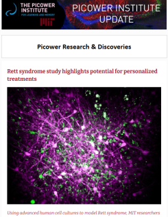 e-News screenshot features a roundish tangle of magenta, white and green cells on a black background