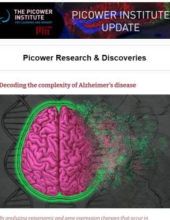 A screenshot of the Picower Institute Update features an cartoon of a pink brain that appears to be disintegrating and turning to dust. The image is overlaid on some DNA double helixes.