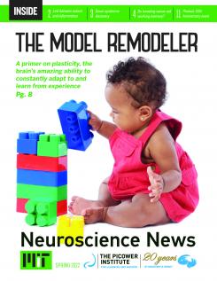 With the main text "The Model Remodeler" the cover features a baby playing with plastic blocks. It also features the Picower Institute's special 20th Anniversary logo