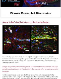 e-News screenshot features an image of blood vessels with the headline "A new 'atlas' of cells that carry blood teo the brain"