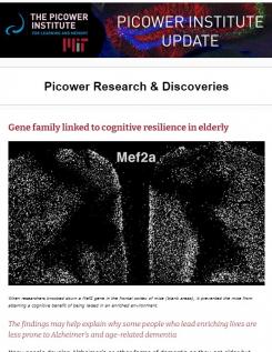 A screenshot shows the "Picower Institute Update" banner, the top headline "Gene family linked to cognitive resilience in elderly" and a black and white image of little specks indicating presence of a protein in the brain