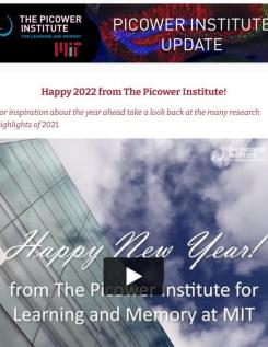 A screenshot of the newsletter featuring a link to a video of new year's greetings.