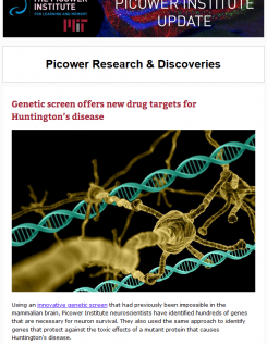 A screenshot of the newsletter featuring a Huntington's disease headline and an illustration of a neuron with DNA