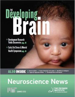 A baby stares out at the reader with the headline "the developing brain"