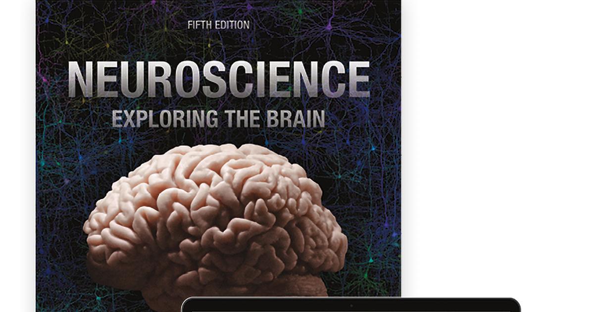 Dr.Brain基本編セット&Dr.5基本編セット As textbook's 5th edition hits shelves, Bear reflects on