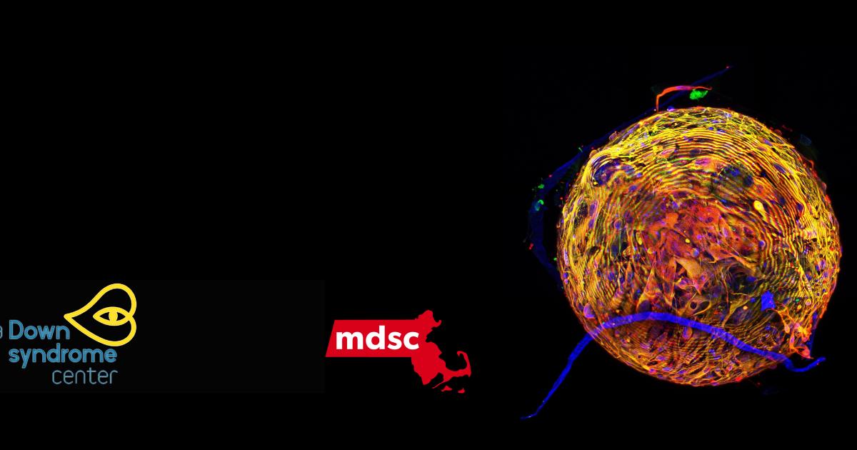 Building a Better Tomorrow for Down Syndrome Through Research and ...