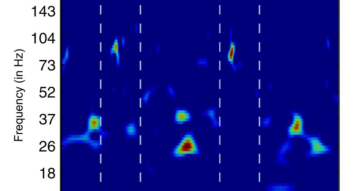 健康・医学 Rhythms of the Brain 51QBFeuD3lL._AC_SY200_QL15_.jpg