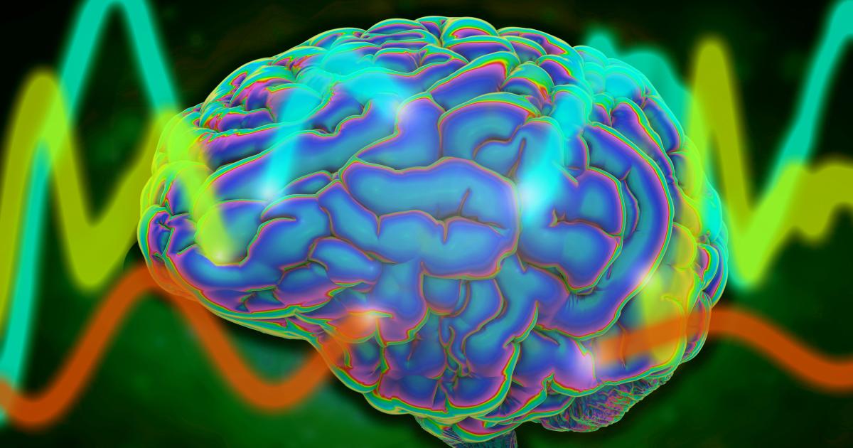 Study reveals a universal pattern of brain wave frequencies