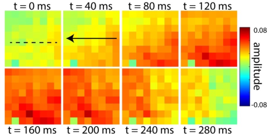 A 4 X 2 array of squares act like a comic strip showing how a traveling brain wave passes by an electrode array over the course of 280 milliseconds. The peak of the wave (which stretches from the upper right to the lower left) is indicated by red coloration.